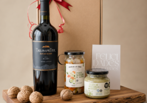 Noel | Caja de Regalo con Vino y Dips